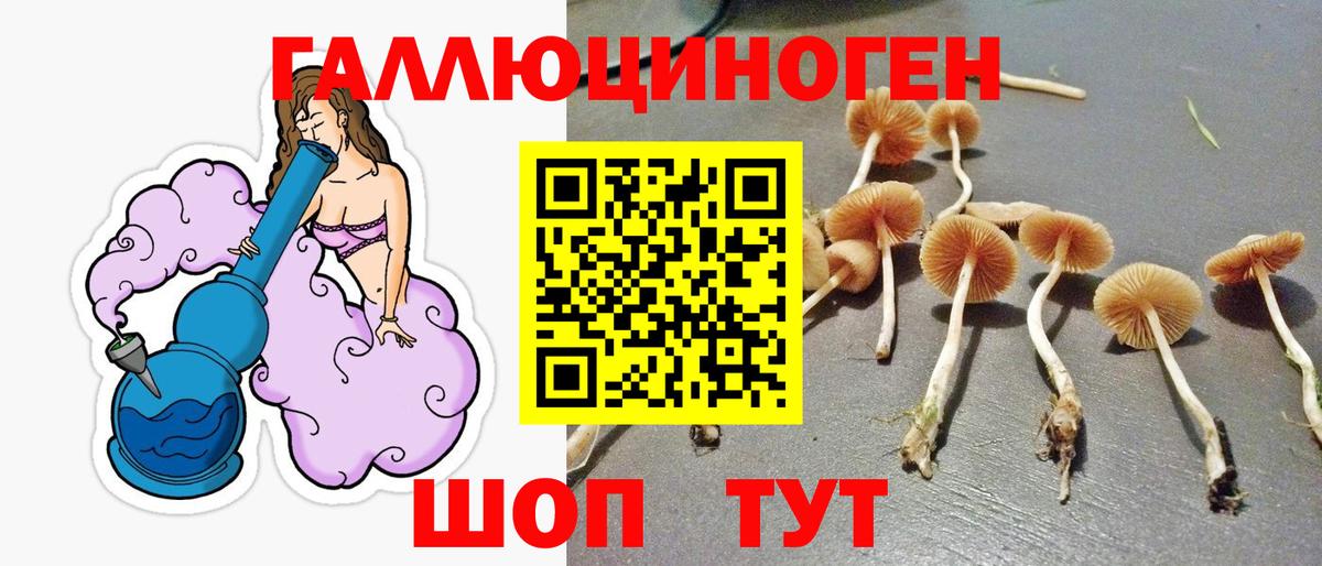 Тосно  Галлюциногенные грибы Cubensis  Вход с VPN 